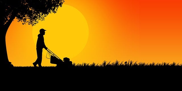 Lawn Care