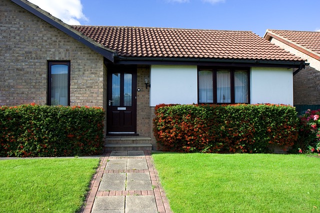 lawn-care-640x480-8752070.jpeg