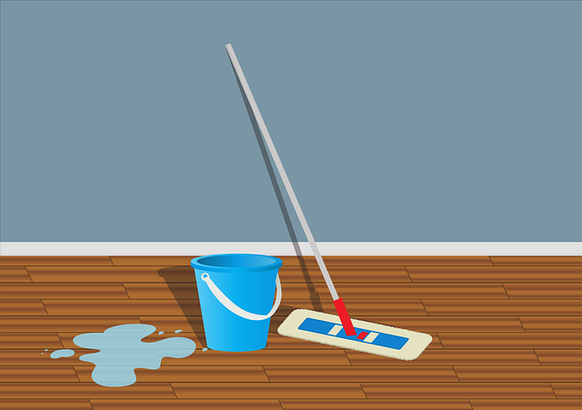 House Cleaning