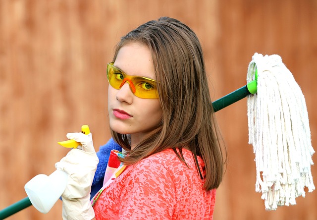 House Cleaning