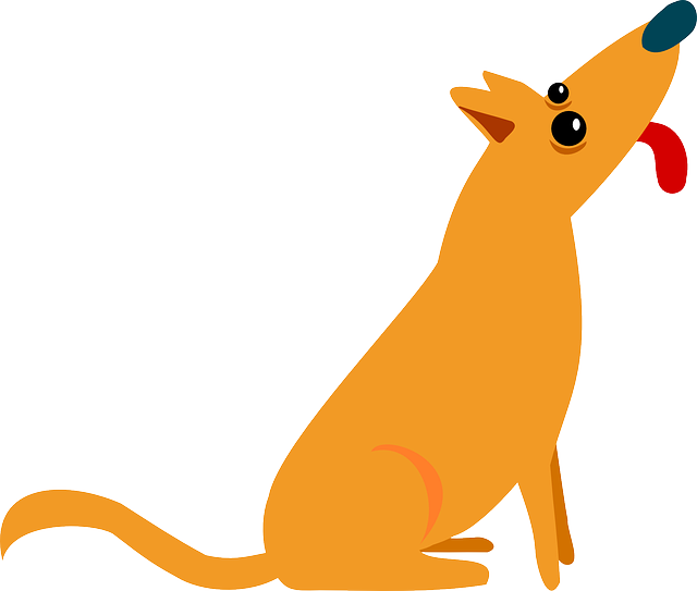 pet-sitting-640x480-15711402.png