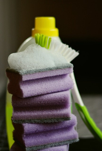 House Cleaning
