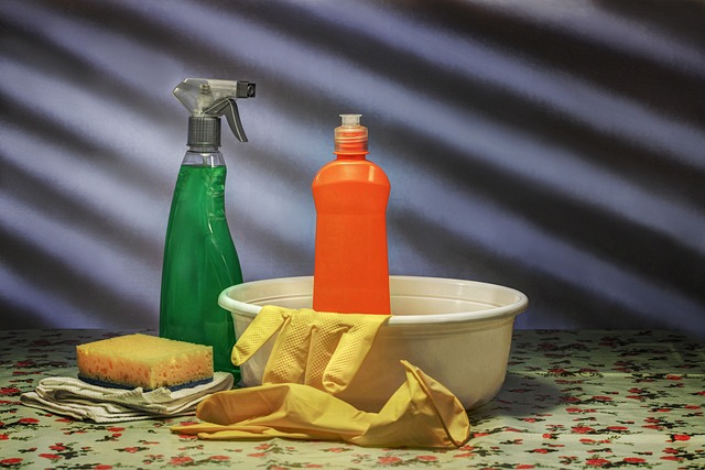House Cleaning