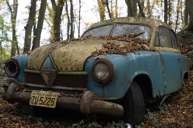 Junk Removal