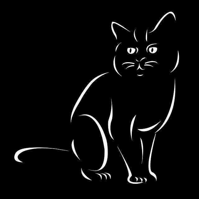pet-sitting-640x480-77385214.png