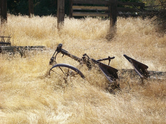 junk-removal-640x480-22045109.jpeg