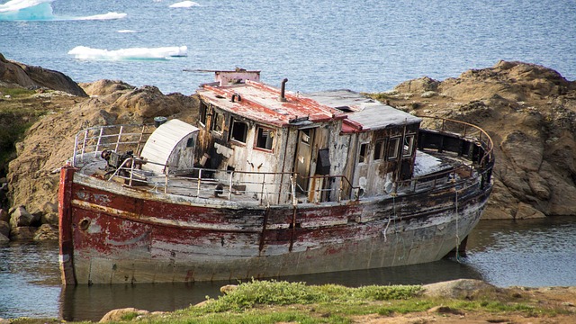 Junk Removal