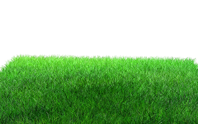 lawn-care-640x480-59041838.png