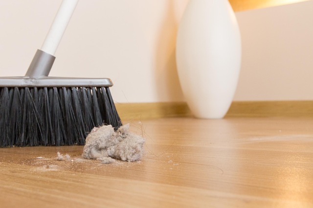House Cleaning