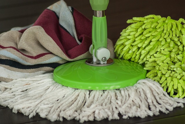 House Cleaning