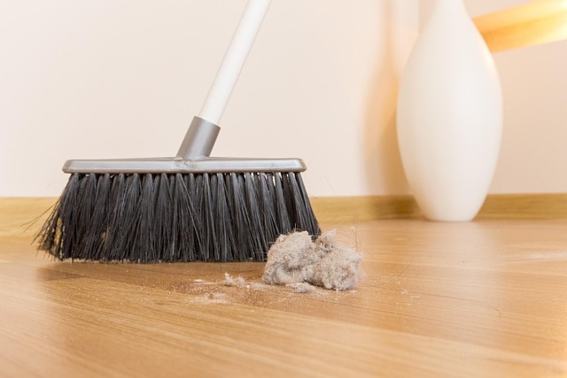 House Cleaning