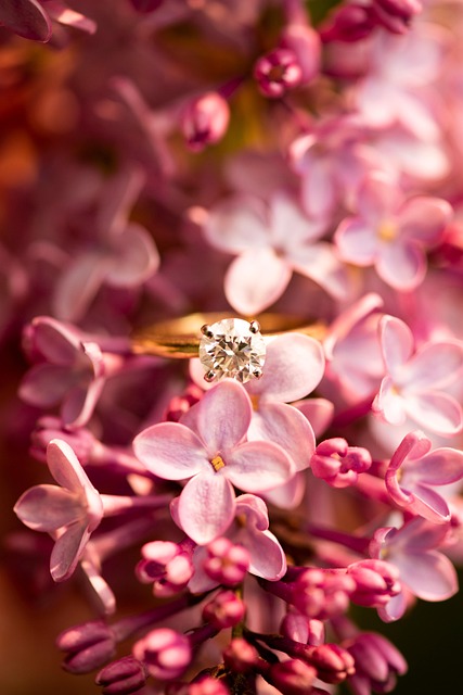 engagement-ring-640x480-24843028.jpeg