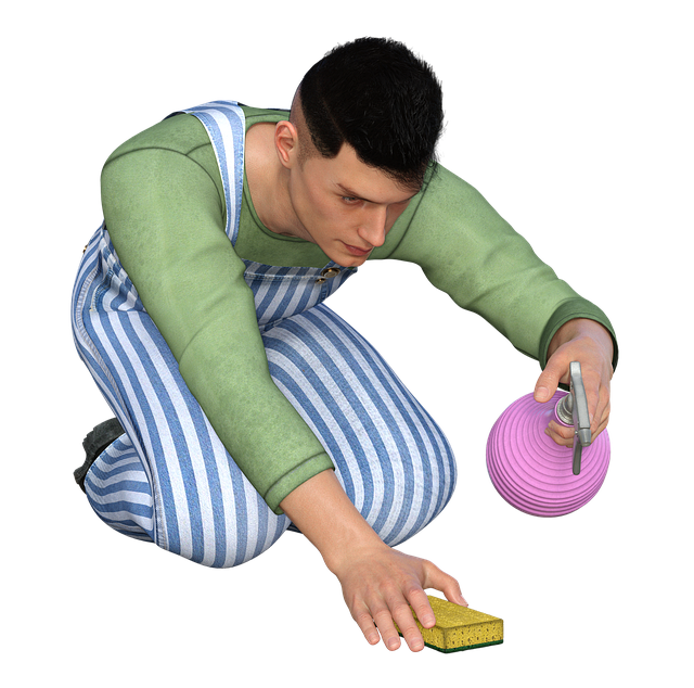House Cleaning