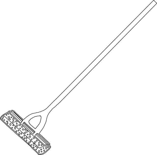 House Cleaning
