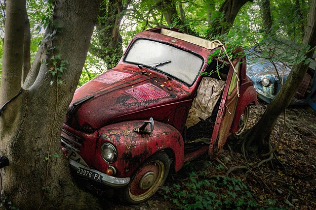 Junk Removal