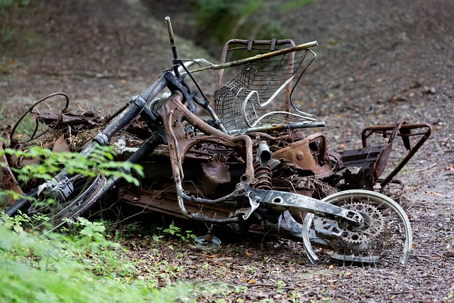 Junk Removal