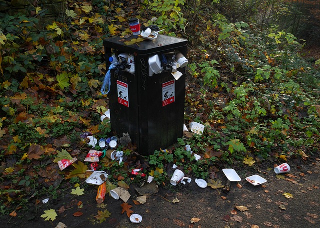 junk-removal-640x480-95829471.jpeg