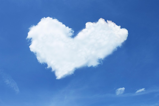 Customer Relationship Management Software