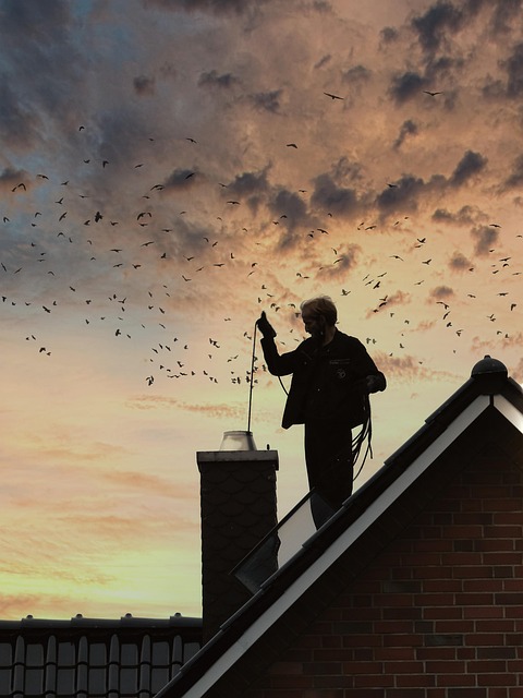 house-cleaning-640x480-60499268.jpeg