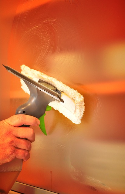 House Cleaning