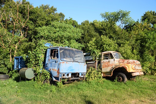 Junk Removal