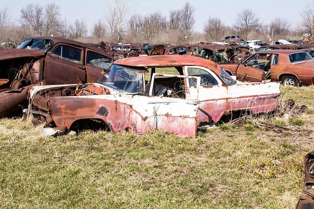 Junk Removal