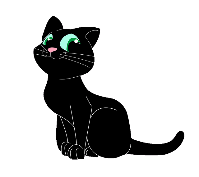 chat