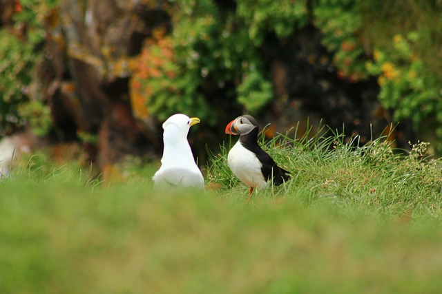conversation