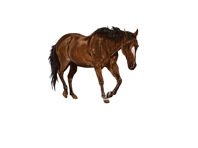 digital