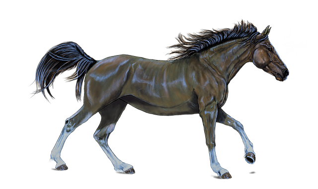 digital