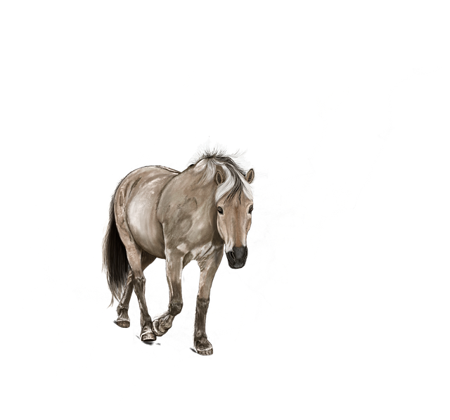 digital