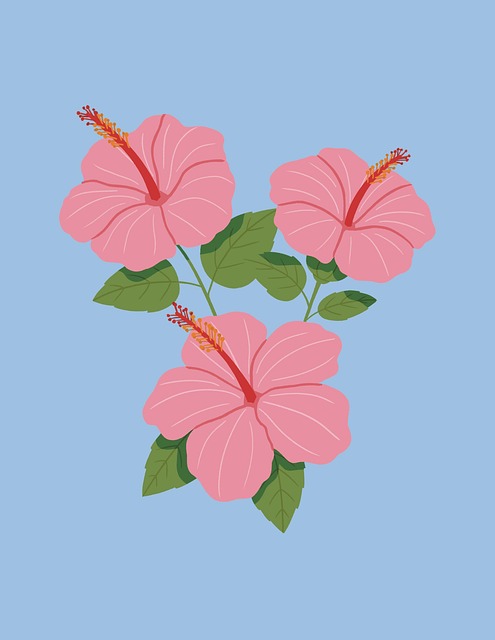 digital