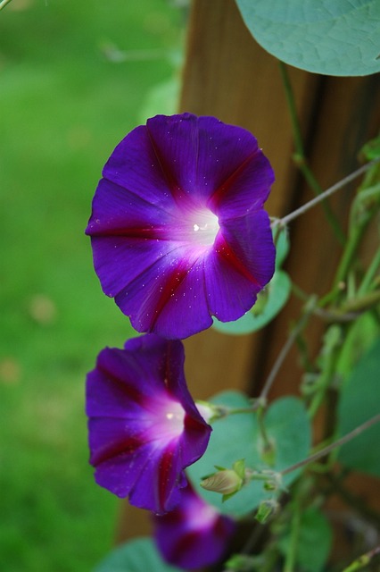 funnel