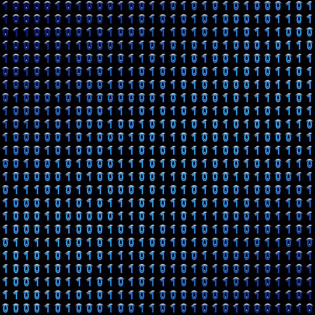 software