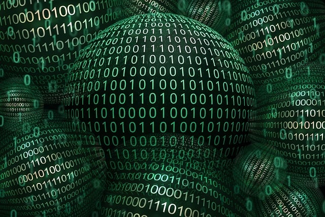 software