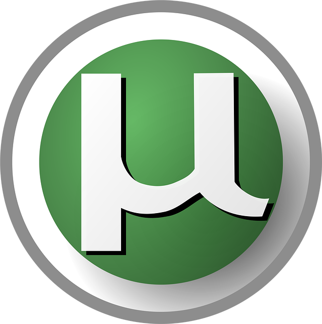 software