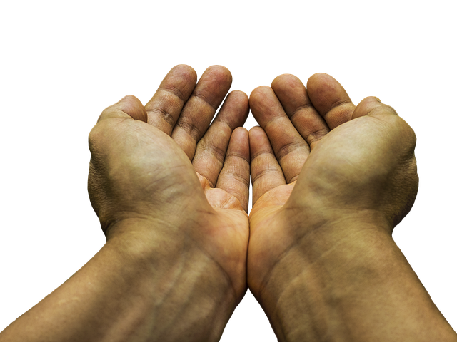 support-640x480-28491000.png