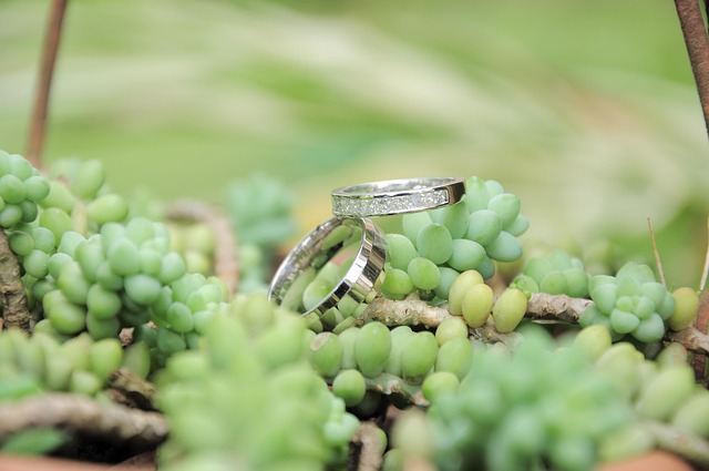 浪漫的結婚戒指