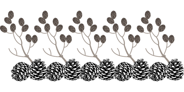 640x480-66651618.png