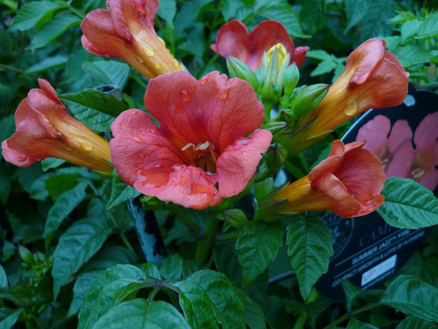 funnel-640x480-97565520.jpeg