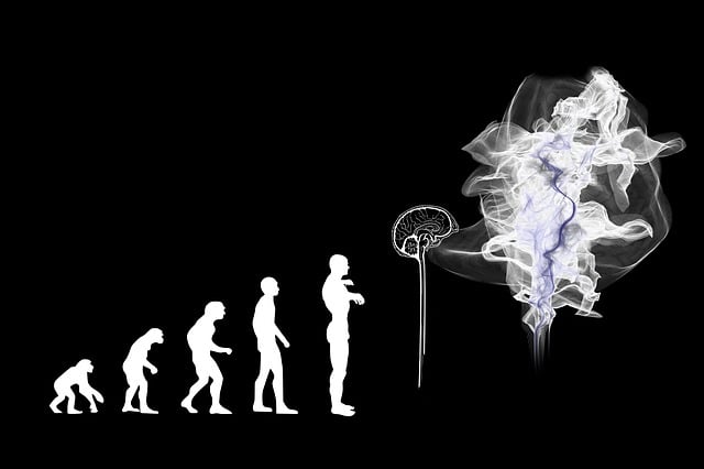 artificial-intelligence-640x480-36378254.jpeg