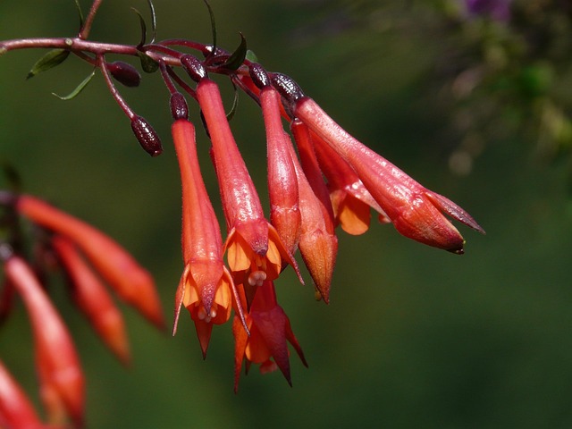 funnel